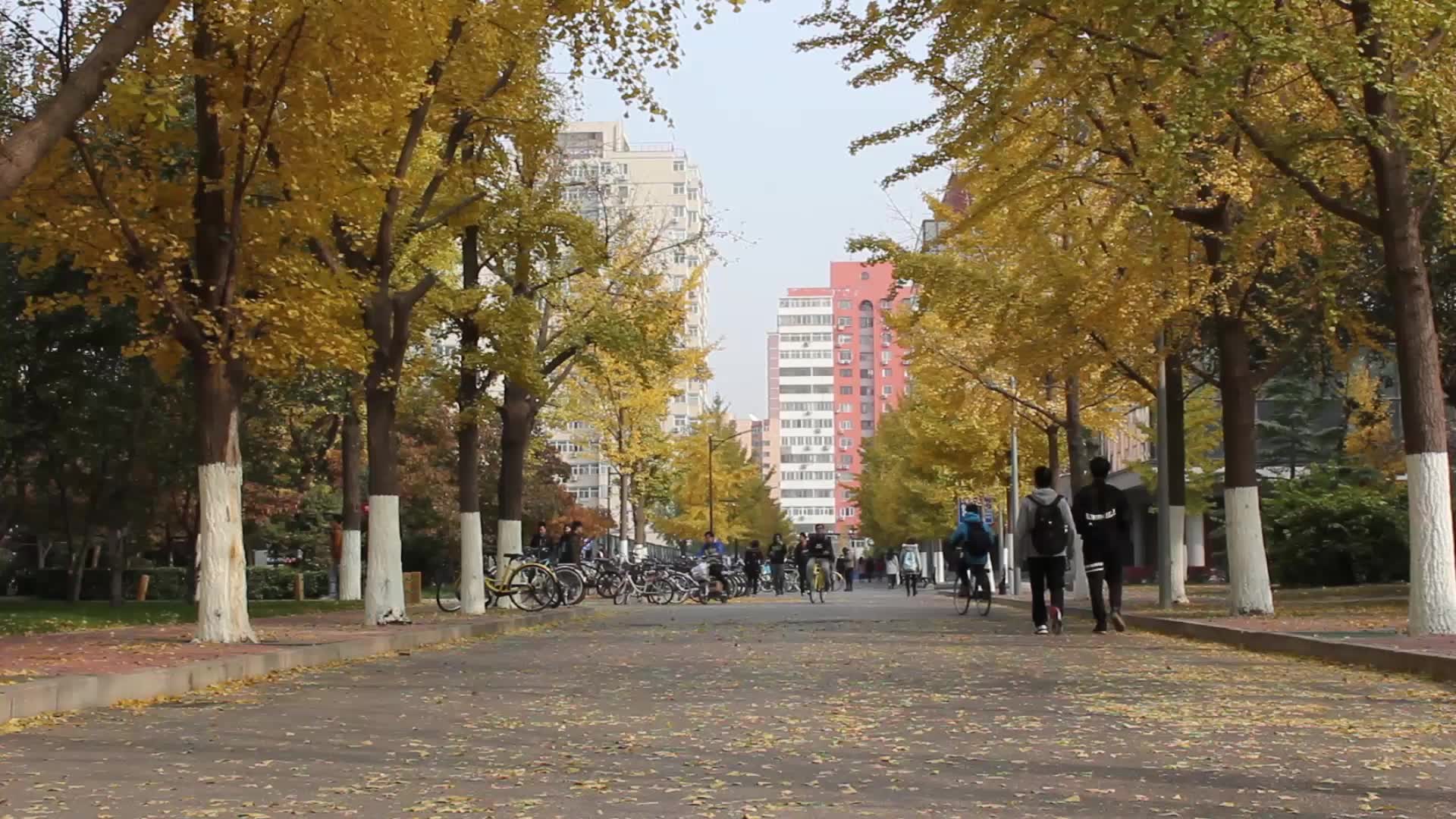 北京交通大學第十屆天之交子/交女風采展示大賽 陸怡鳴選手vcr