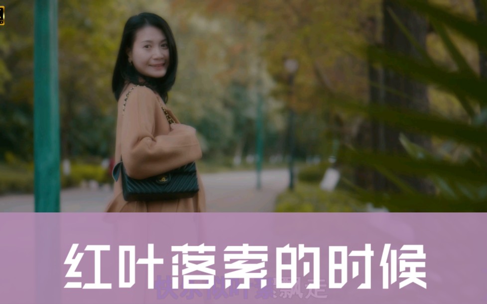 [图]唯美治愈音乐MV《红叶落索的时候》