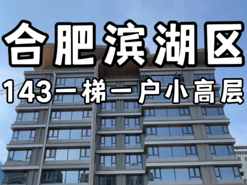 合肥滨湖区143一梯一户小高层毛坯交付#合肥小高层哔哩哔哩bilibili