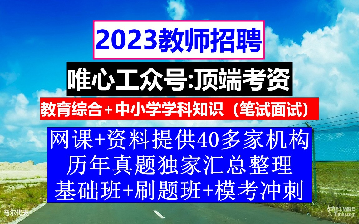 教师招聘,教师招聘教案模板,教师招聘个人简历范文哔哩哔哩bilibili