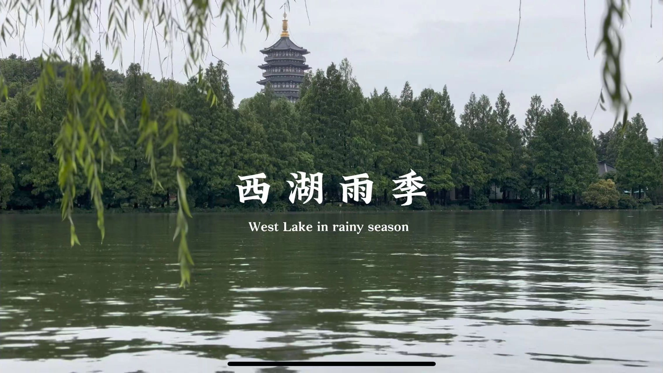 [杜比世界] "杭州"雨中西湖 漫步长桥 雷峰塔 集贤亭