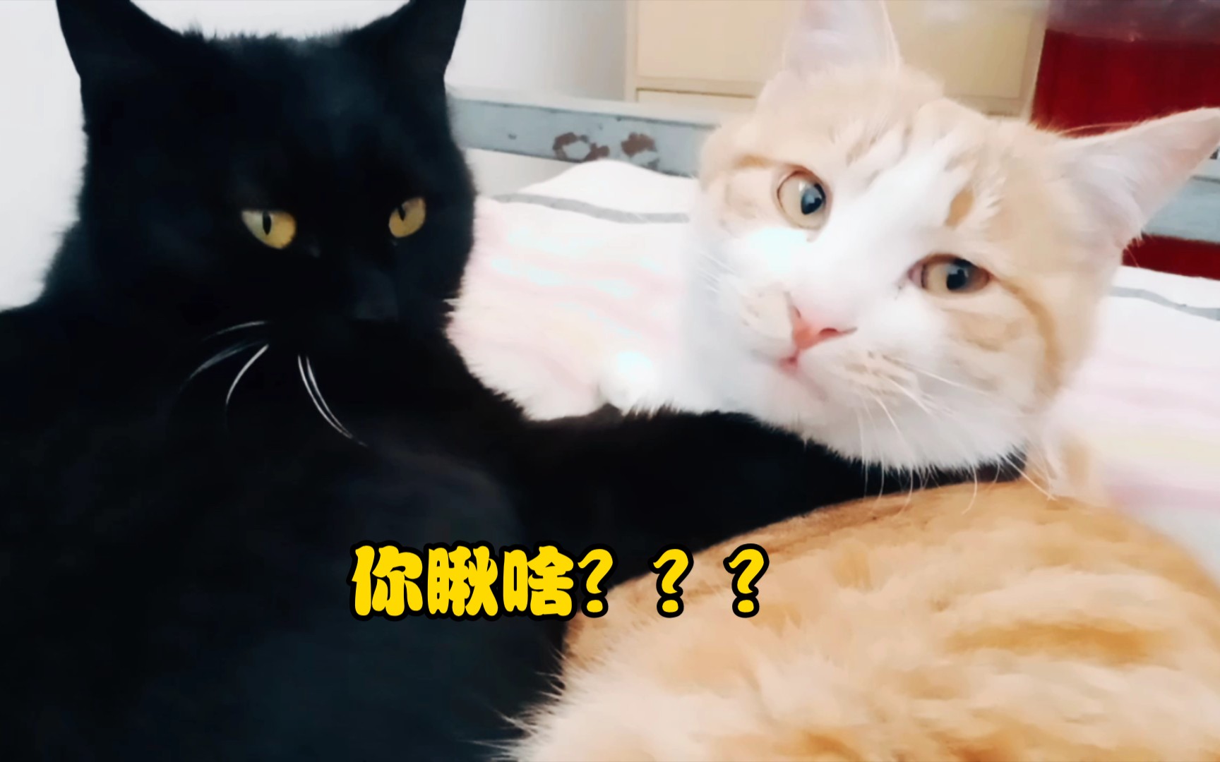 "我们正在讲修行的事,你过来干啥?