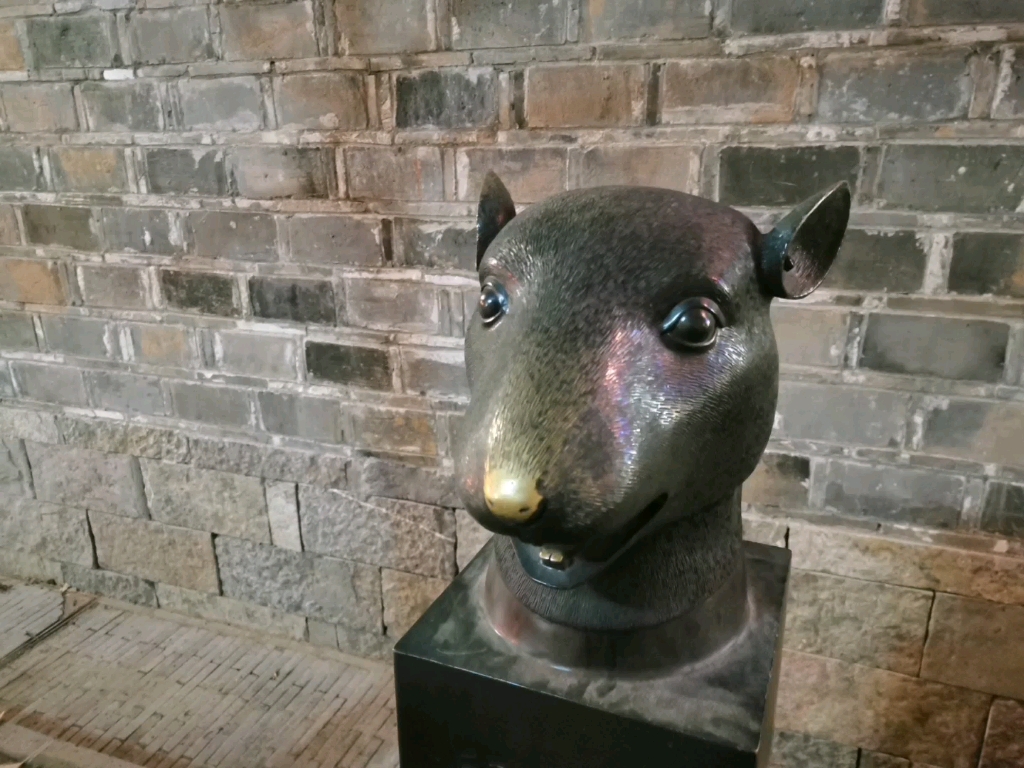 集齐12个铁脑壳就可以发一个朋友圈