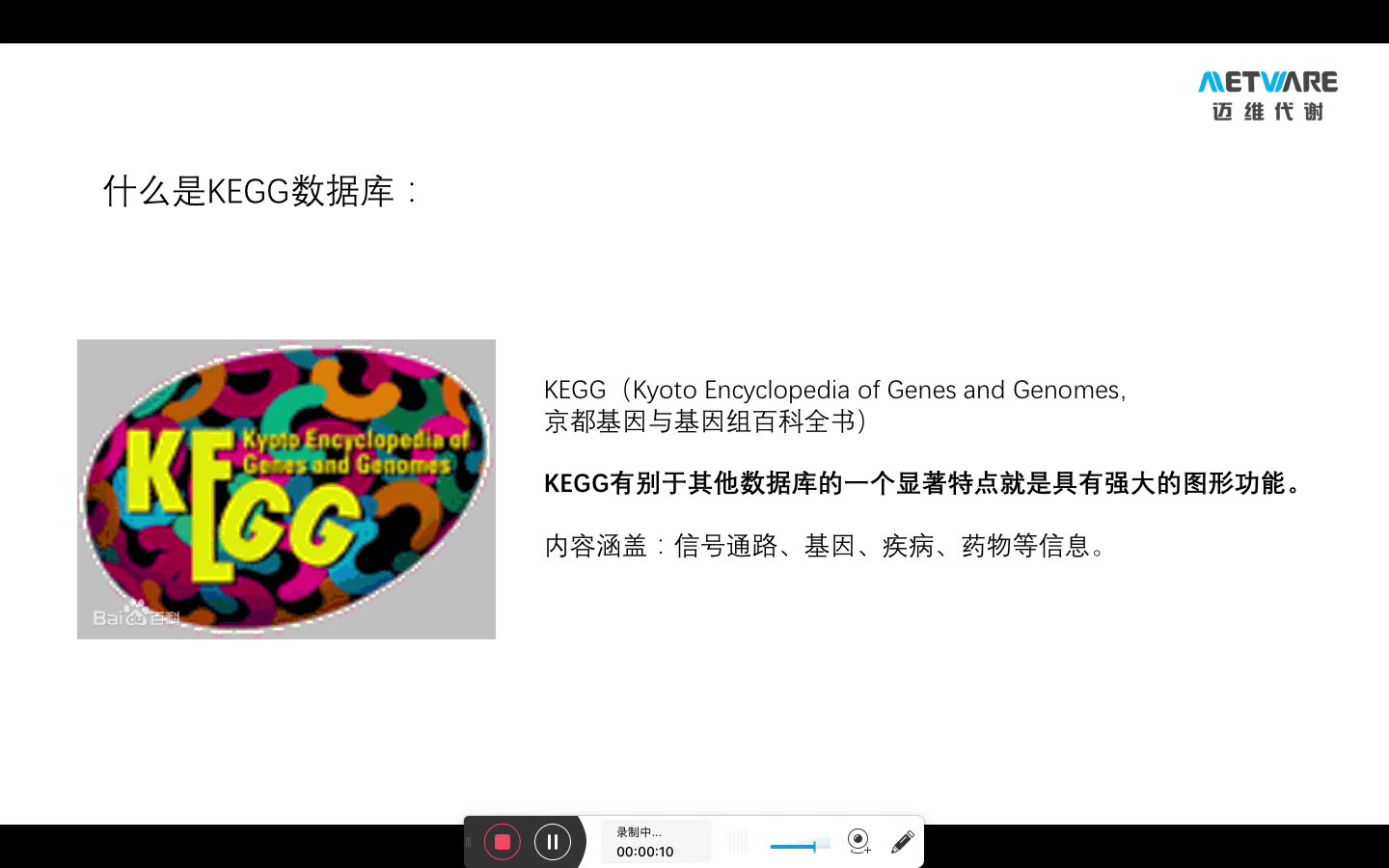 一分钟了解KEGG数据库(1)哔哩哔哩bilibili