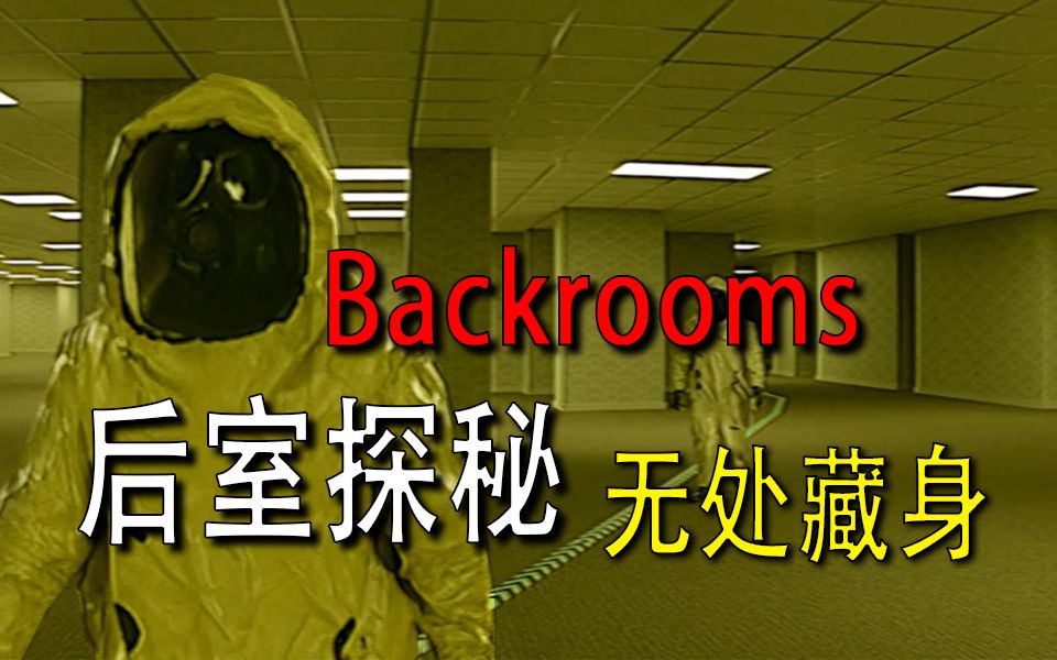 【Backrooms】后室 【无处藏身】续.搜寻(中文字幕)哔哩哔哩bilibili