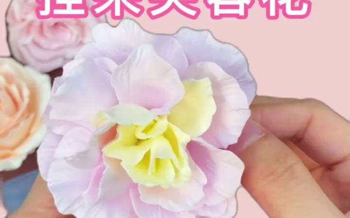 [图]3步搞定媲美公园里的芙蓉花，公园采风散步放松