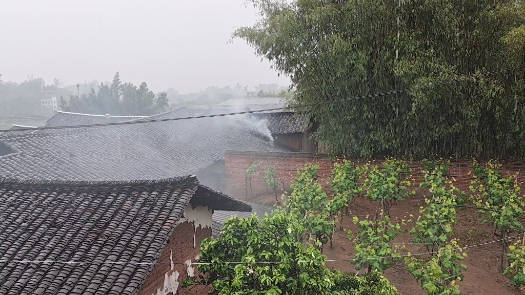 [图]白噪声-雨打梨花深闭门，忘了青春，误了青春