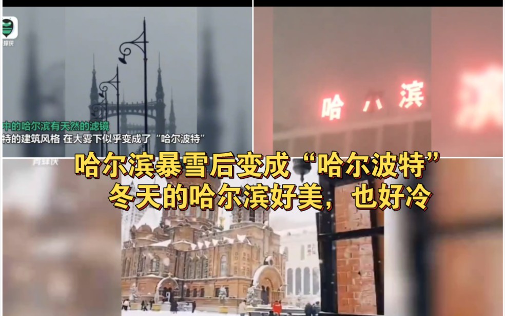 哈尔滨暴雪:建筑风格成“哈尔波特” 字牌被冻成“哈八滨”哔哩哔哩bilibili