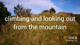 奥克兰东区湿地公园 哔哩哔哩 つロ干杯 Bilibili