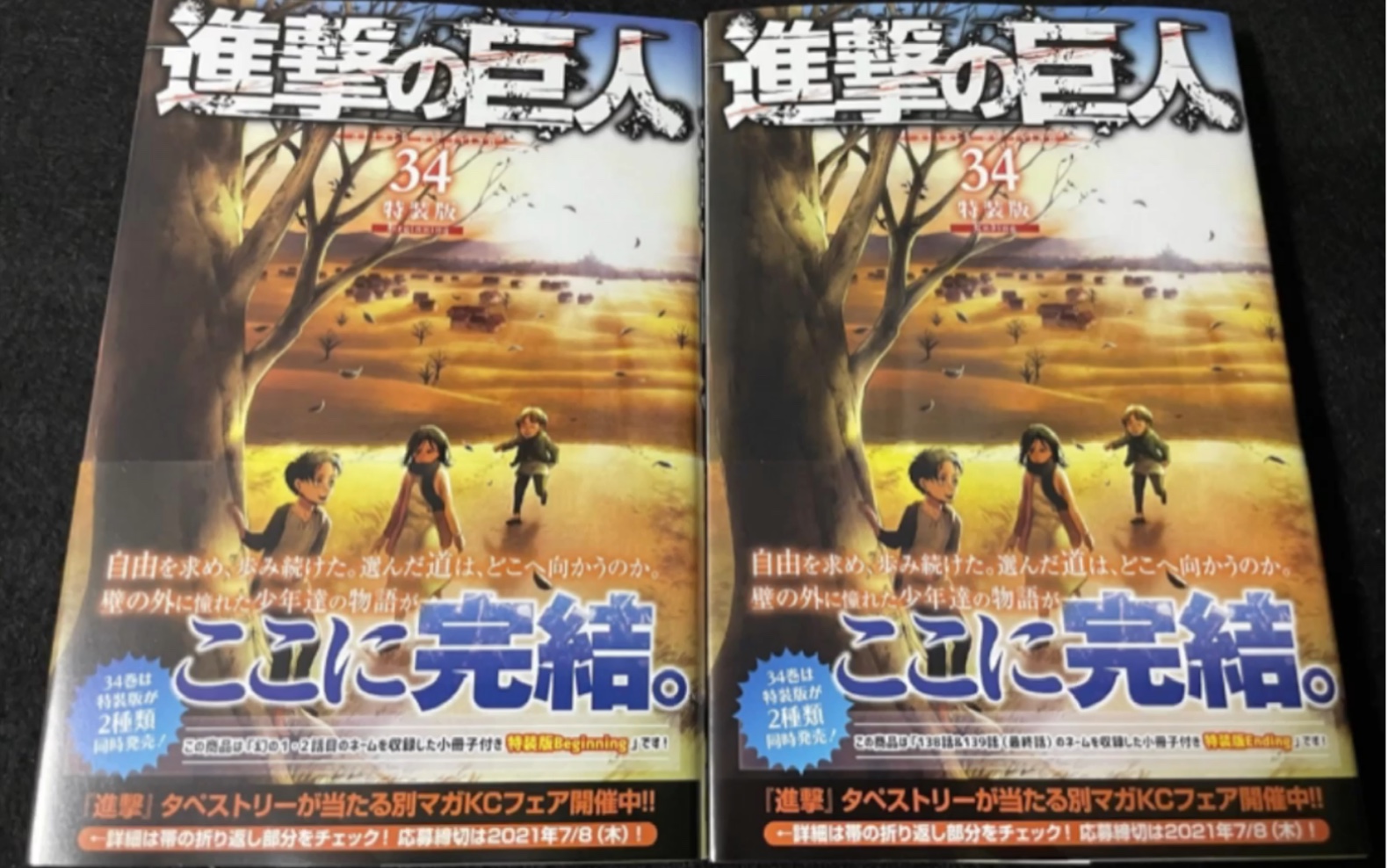 【进击的巨人】最终卷34特装版&角色名鉴final简易介绍_哔哩哔哩
