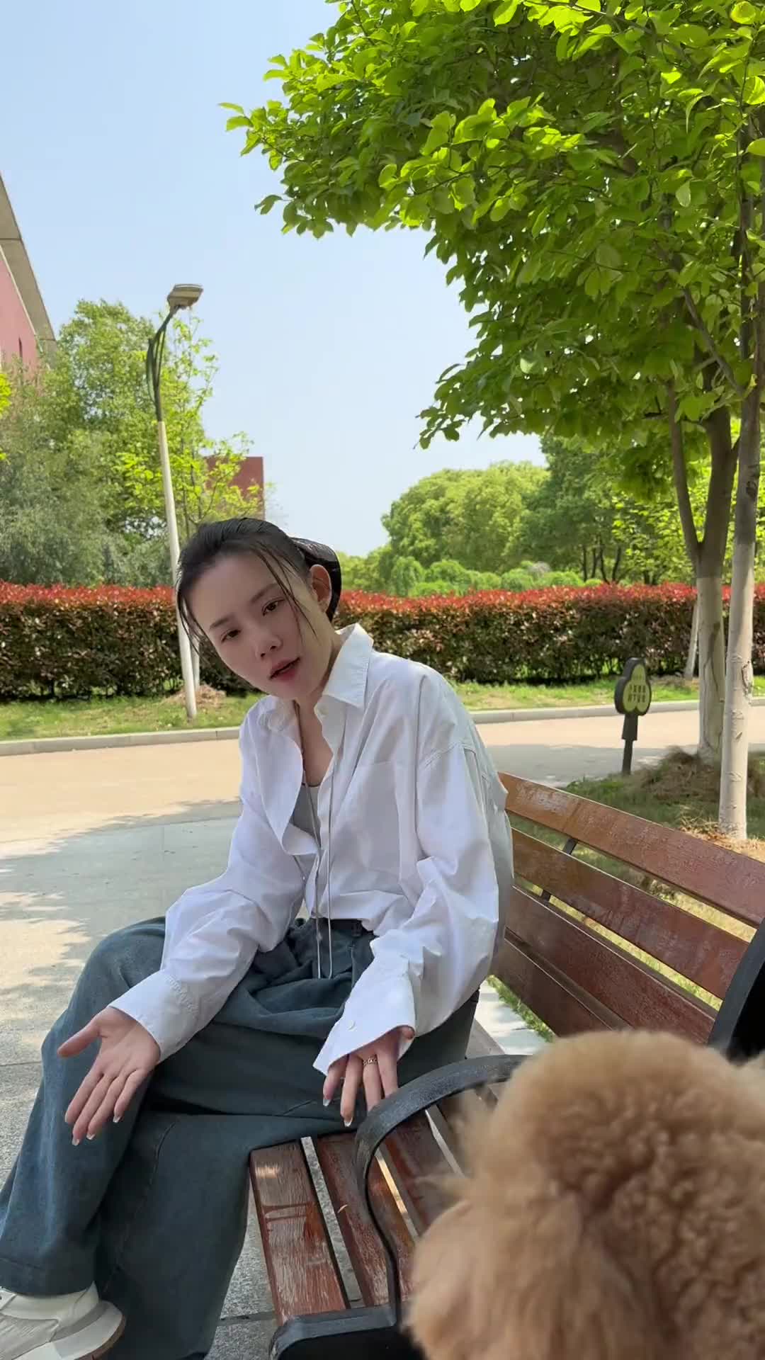 陪伴永远胜过言语真诚才能换来信任这就是小狗的世界日常何卷卷声