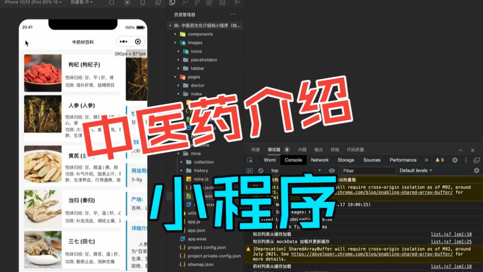 中医药介绍小程序