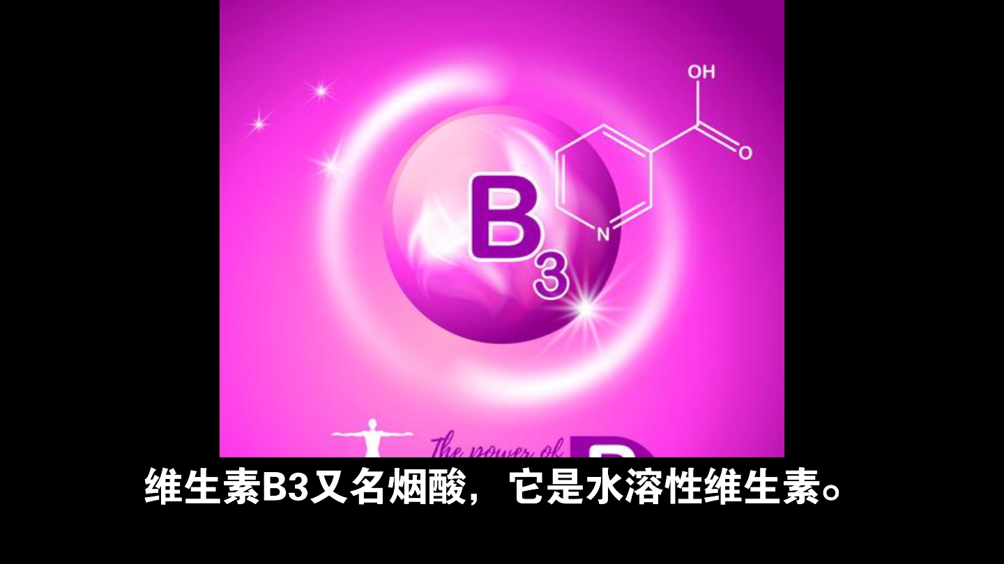 你不可不知的用药知识维生素类:维生素B3(.烟酸)哔哩哔哩bilibili