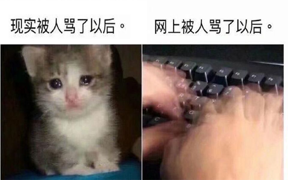 真实232223网络上那些有趣的沙雕图19