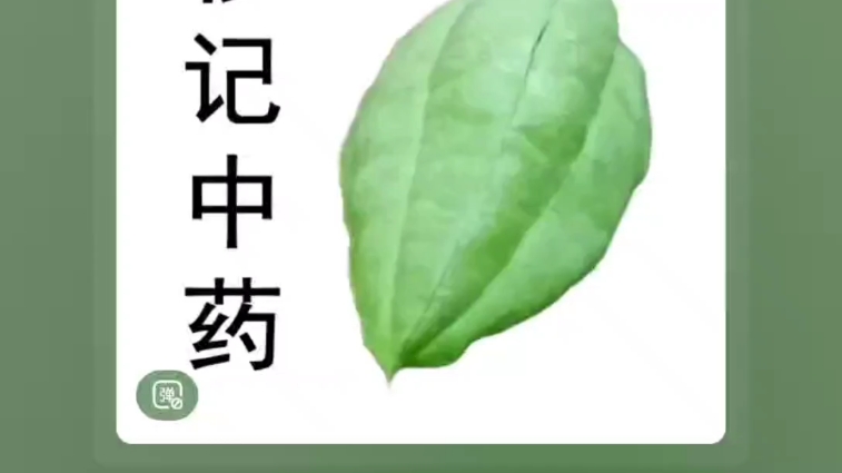 [图]《白话中药400味》第130味 草果