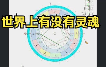 世界上有没有灵魂哔哩哔哩bilibili