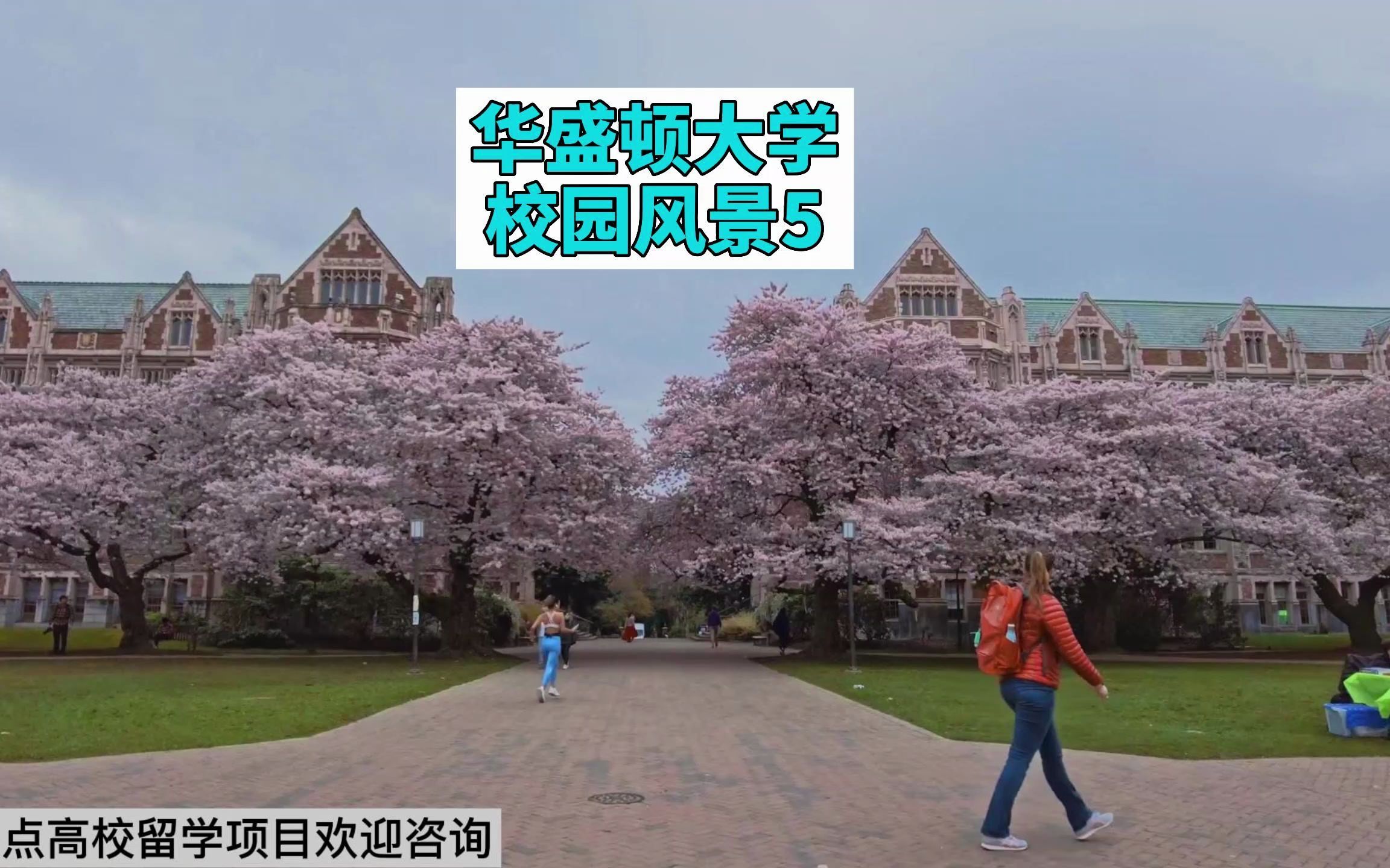 华盛顿大学校园风景5(共9集,每天下午6点准时更新大学校园风景,快关注我吧,别错过你的母校、更别错过你梦想的高校)哔哩哔哩bilibili