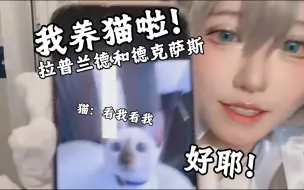 Download Video: 【粽子淞】养了两只猫，叫拉普兰德和德克萨斯