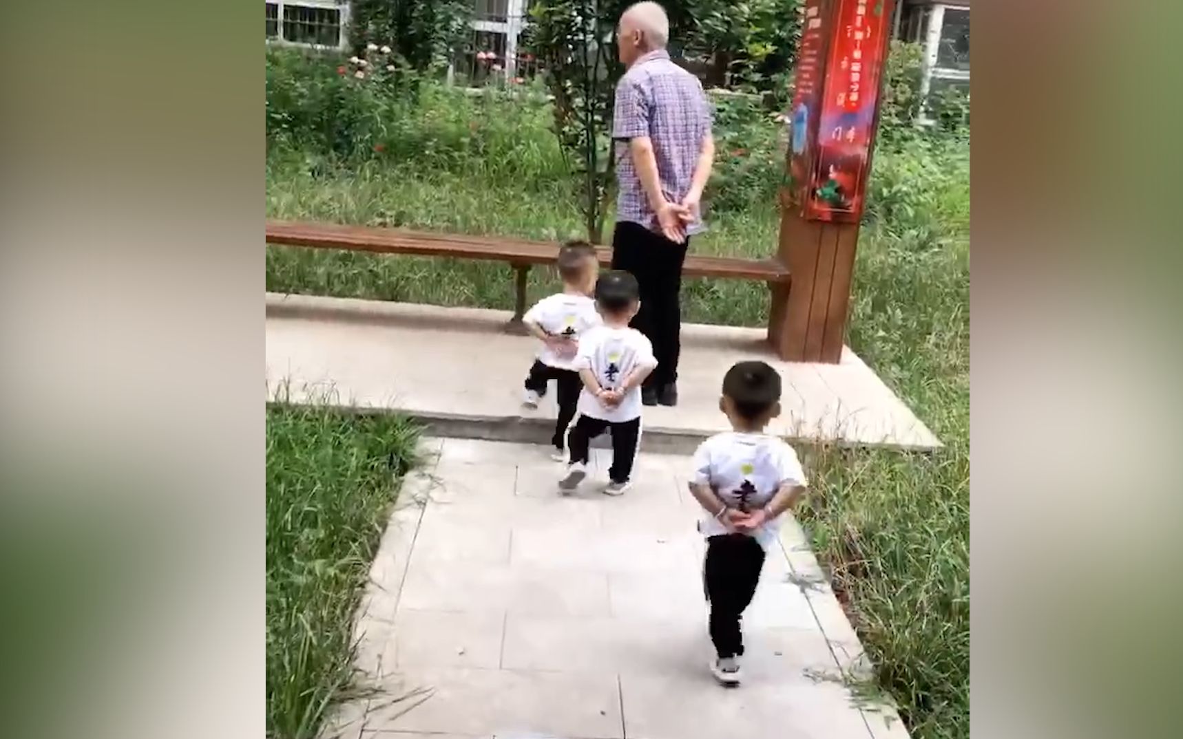 2岁三胞胎学70多岁太爷爷背手式走路神态姿势惟妙惟肖