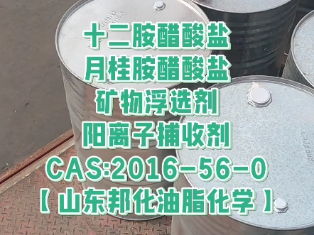 十二伯胺醋酸盐【山东邦化油脂化学】阳离子捕收剂 月桂胺醋酸盐 十二胺醋酸盐 矿物浮选剂 CAS:2016560 铁矿、长石、石英石浮选剂.哔哩哔哩bilibili