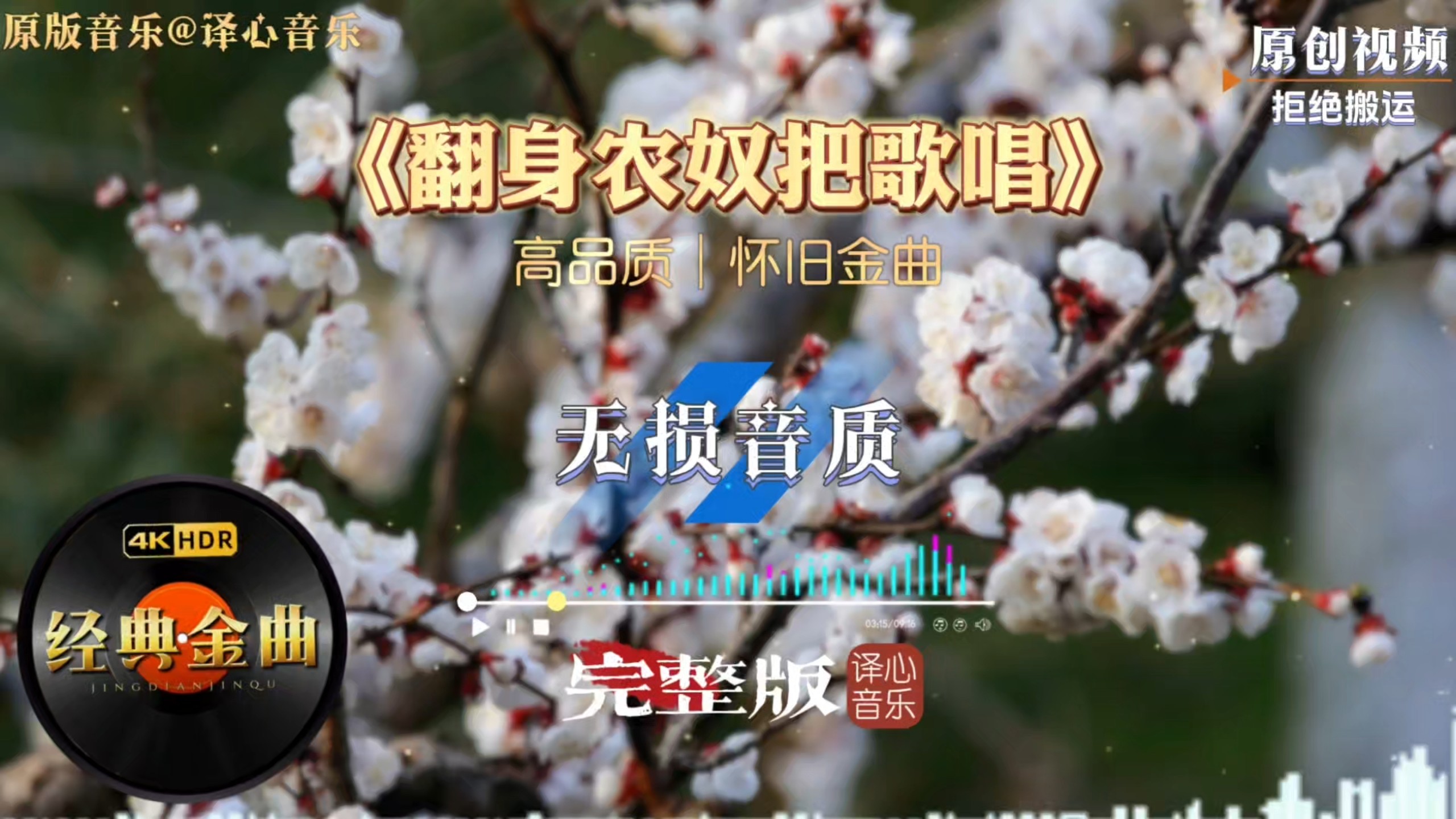 红歌新潮改编版《翻身农奴把歌唱》，悠扬曲调续写雪域新生篇章