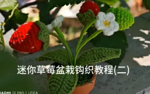 Скачать видео: 迷你草莓盆栽钩织教程(二)