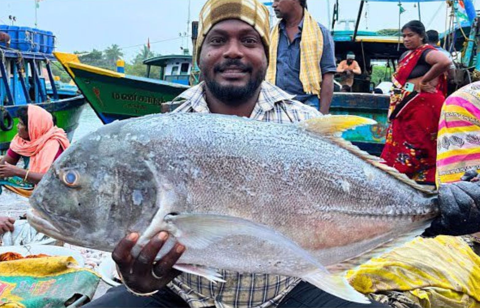 印度码头宰杀gt鱼,当地刀手帮客户切割牛港鱼,手法速度相当快