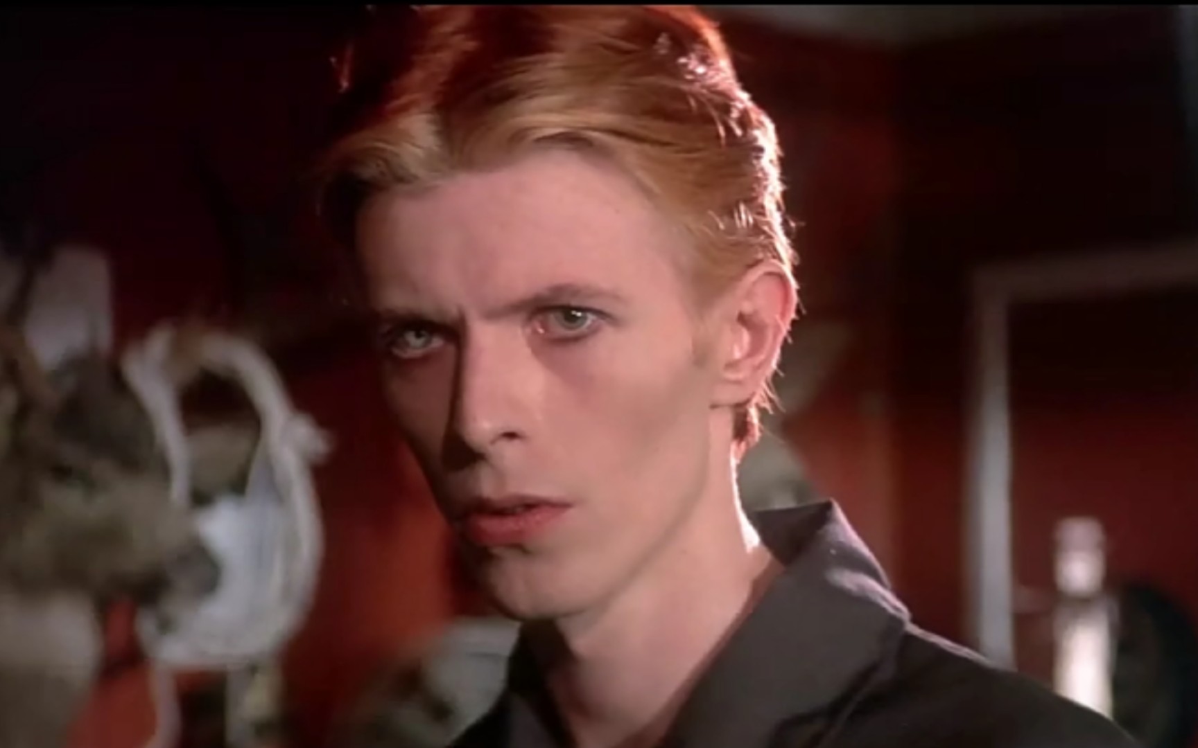 大卫鲍伊 blue jean