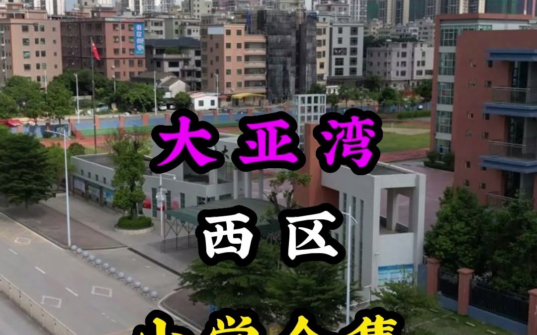 深圳人看完学校在选房吧!惠州大亚湾西区22所小学合集哔哩哔哩bilibili