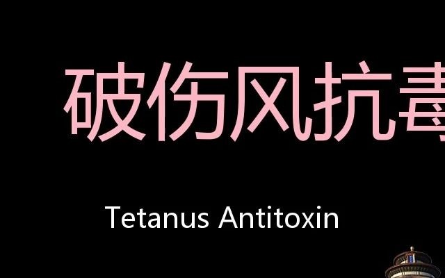 破伤风抗毒素 Chinese Pronunciation Tetanus Antitoxin哔哩哔哩bilibili