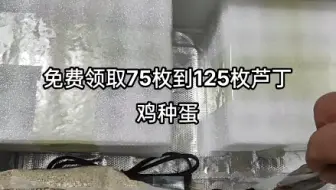 能孵化120枚芦丁鸡种蛋的水床孵化箱，最多能送您125枚芦丁鸡种蛋，数量有限