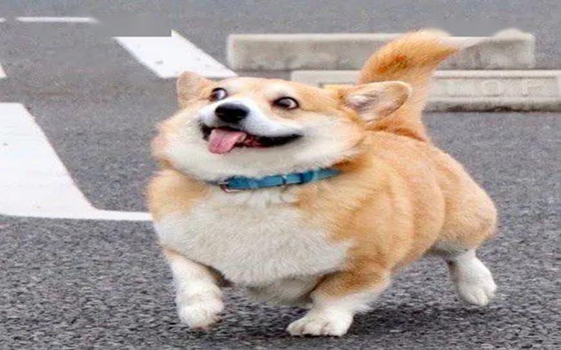 活动作品基里奥