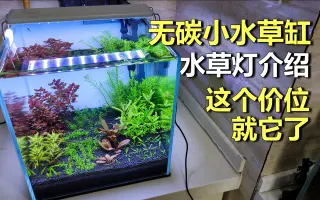 水草灯 哔哩哔哩 Bilibili