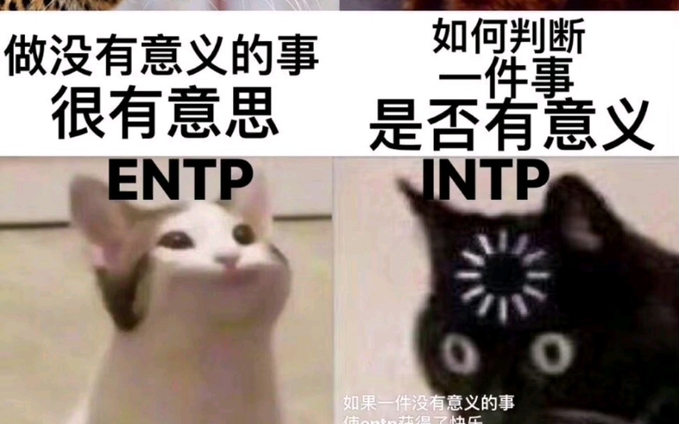 【MBTI】一些entp表情包2.0哔哩哔哩bilibili