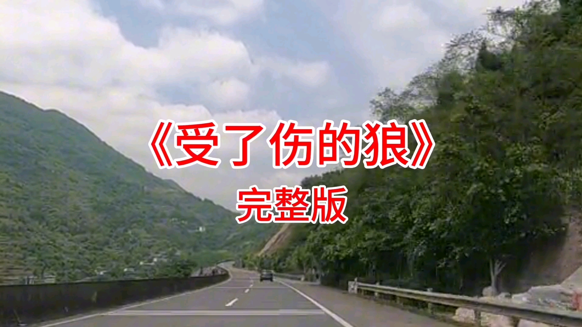 音乐欣赏《受了伤的狼》,让你感受不一样的音乐魅力