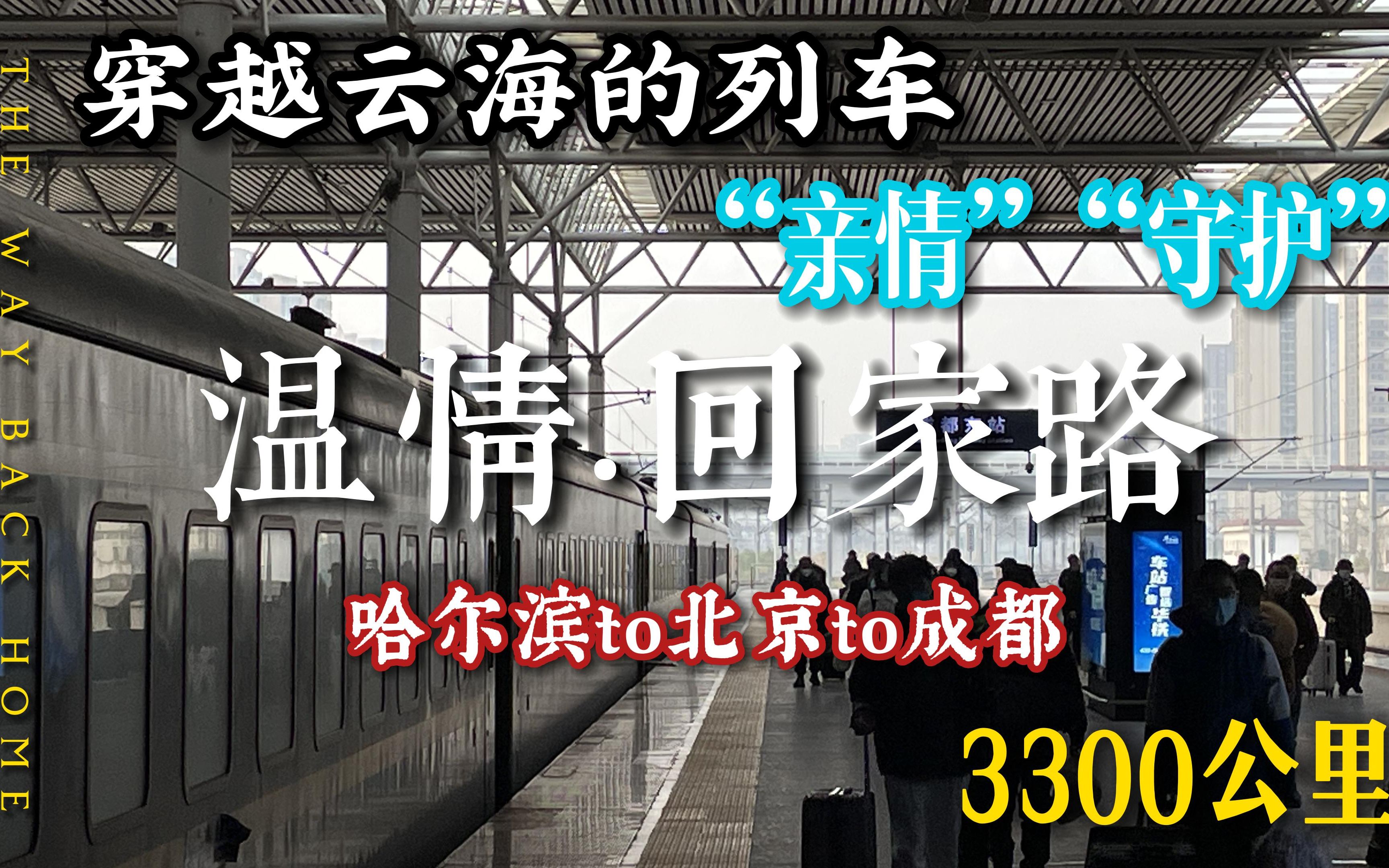 在云海里穿梭的列车!"星耀天府号"z49次列车新春回家路温情体验