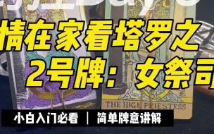 Descargar video: 【塔罗牌意快速记】2号牌：女祭司