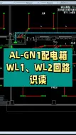 Download Video: AL-GN1配电箱WL1、WL2回路识读