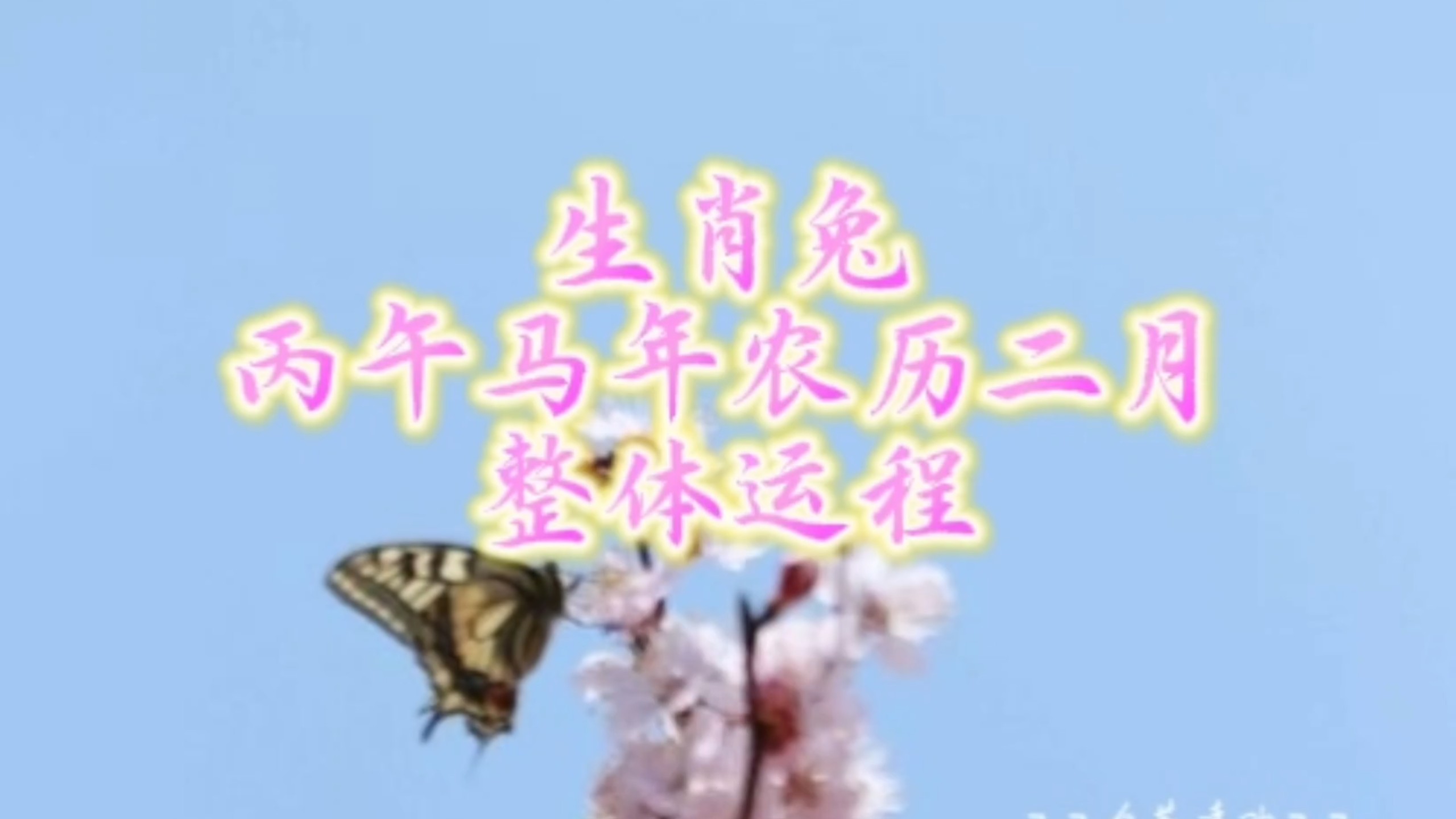 帝师2025生肖兔运势(2025十二生肖每月运势详解)