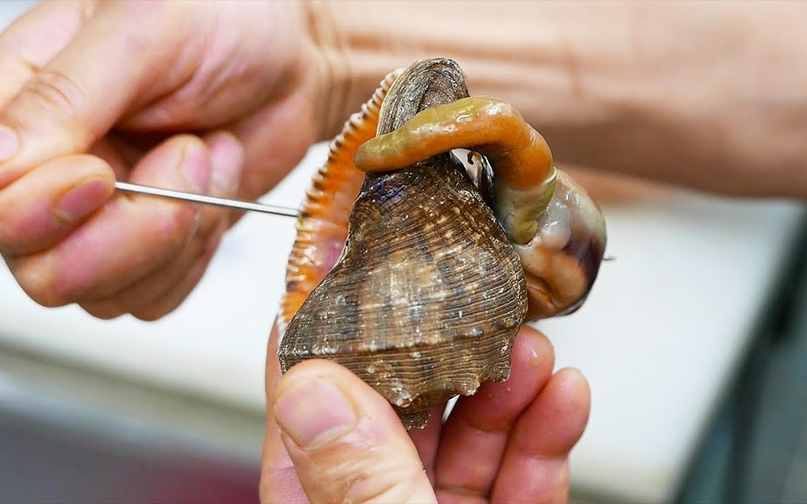 『韩国美食』美味超大海蜗牛 腌制 新鲜 韩国料理