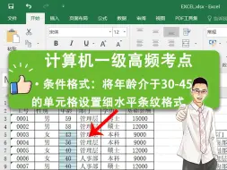 Download Video: 2024年计算机一级真题Excel高频考点：条件格式将年龄介于30-45岁的单元格设置细水平条纹格式