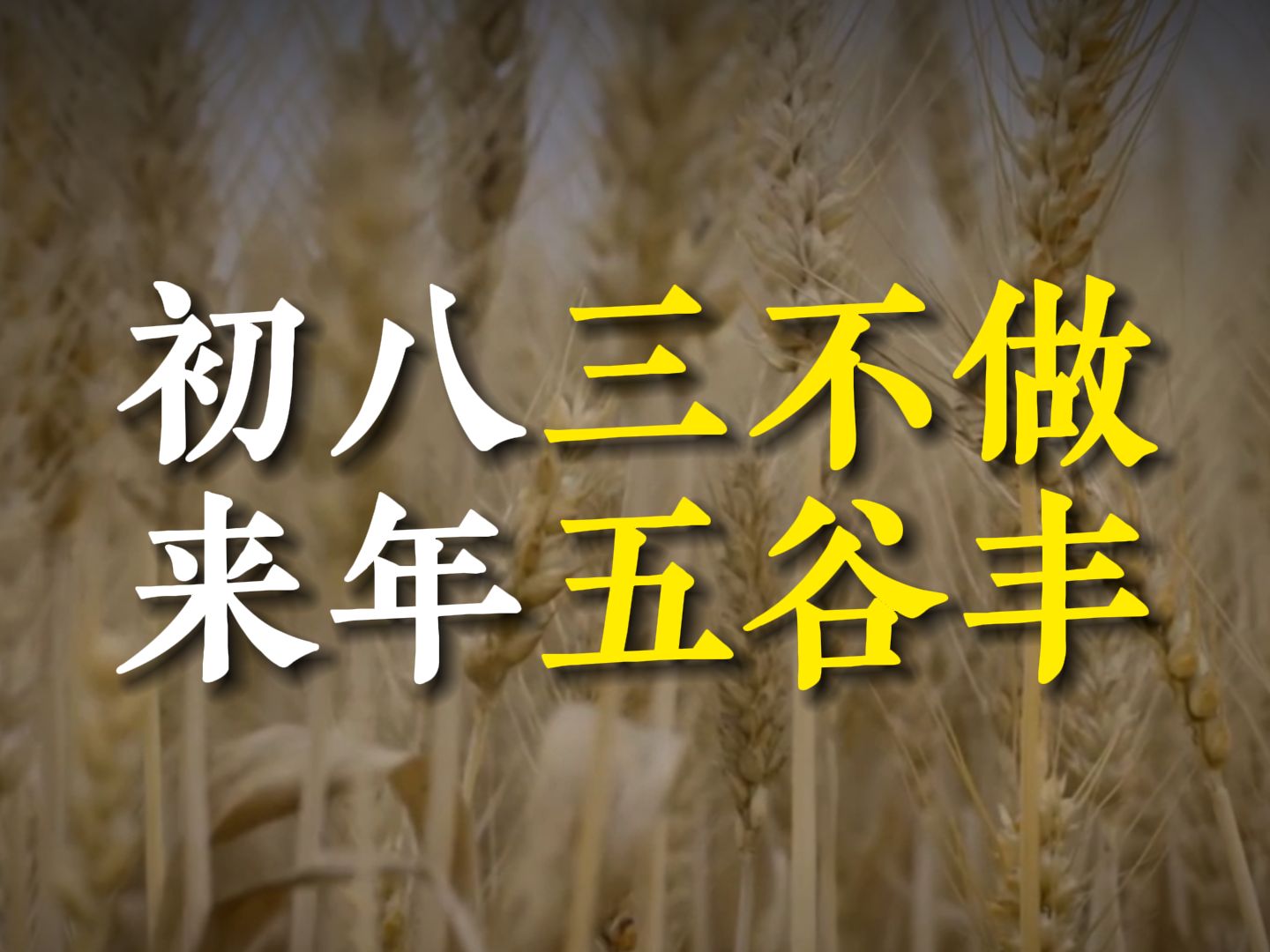 正月初八谷日,老话“初八三不做,来年五谷丰”,哪三事不能做?哔哩哔哩bilibili