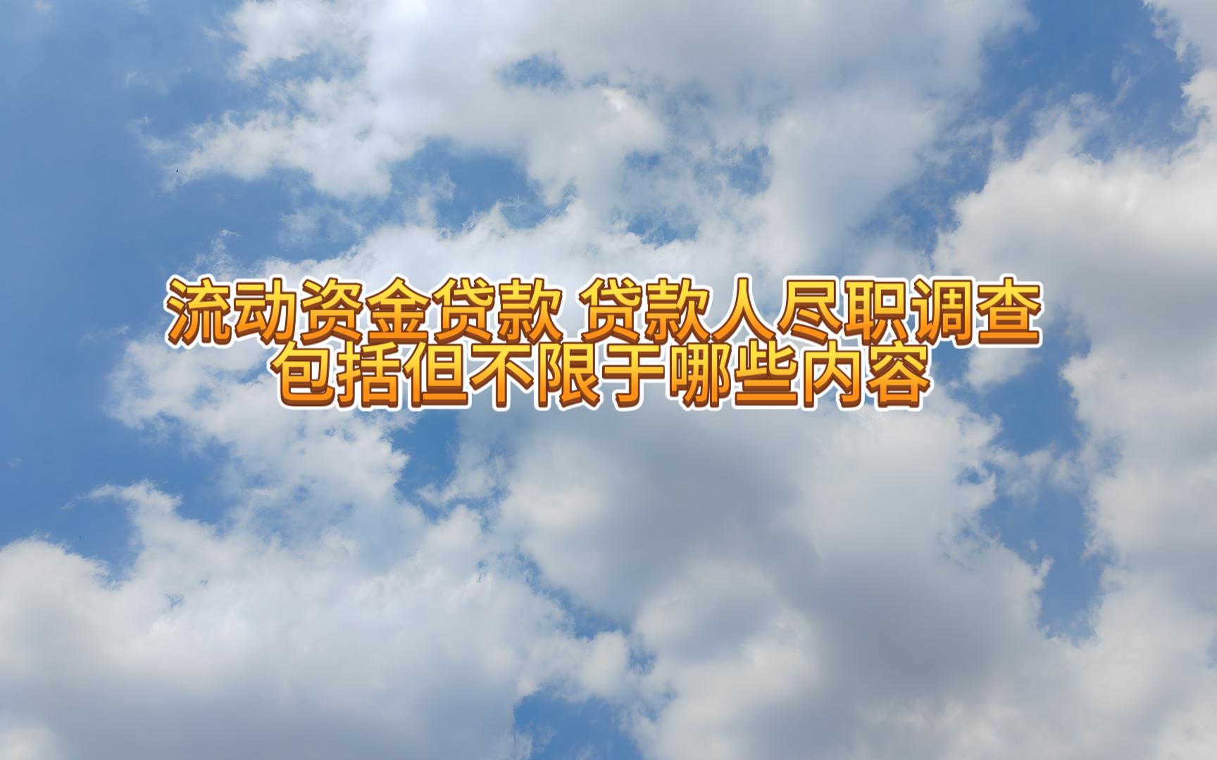 流动资金贷款 贷款人尽职调查包括但不限于哪些内容哔哩哔哩bilibili