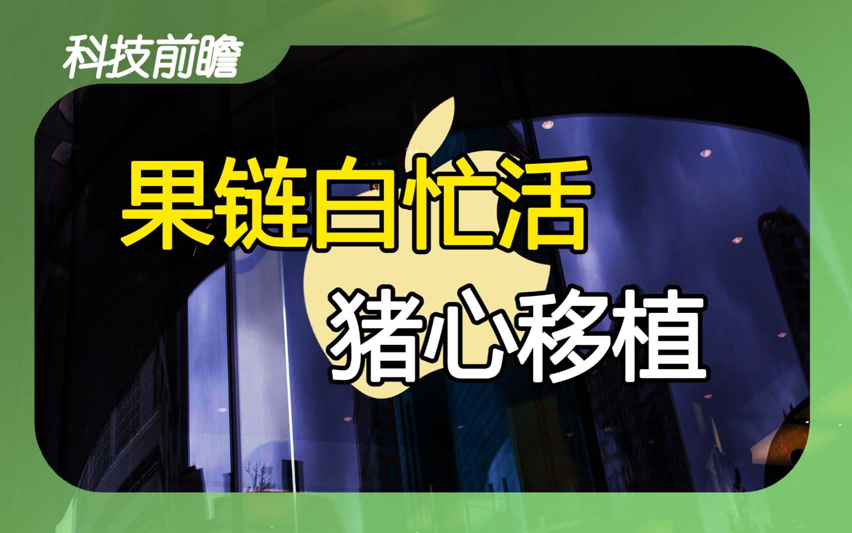 2023年10月22日 | 科技前瞻【果链给美国打工白忙活;小米14开售; 运营商网速大比拼;移动日进斗金;猪心脏移植人体成功】哔哩哔哩bilibili