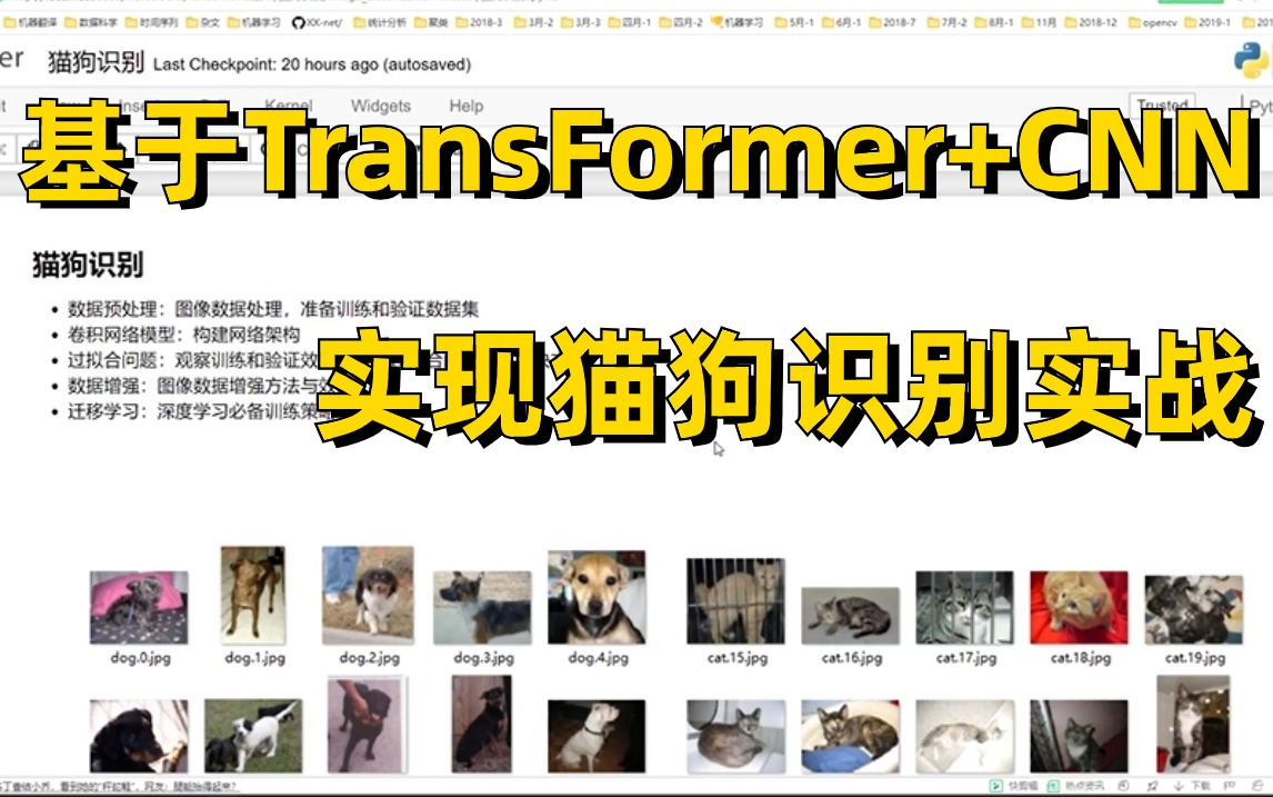 【附源码数据集】猫狗识别实战!这是我见过最适合新手学习的深度学习实战项目,基于TransFormer+CNN实现猫狗二分类人工智能/神经网络/计算机视觉/...