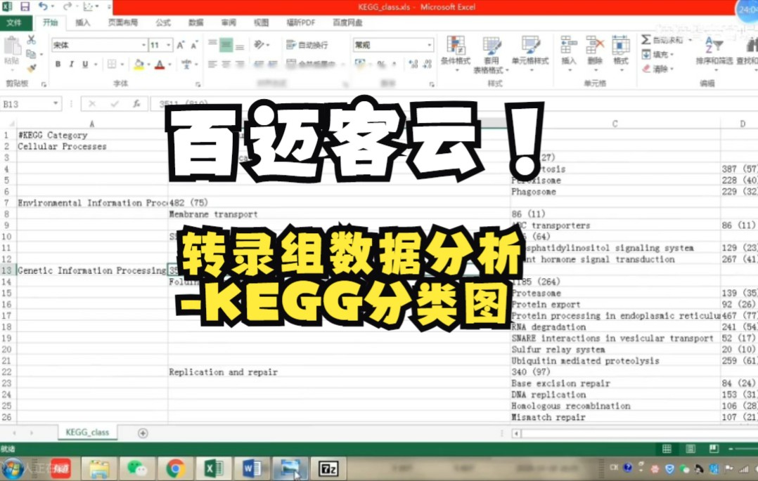 转录组数据分析百迈客云平台简单分析(2)KEGG分类图哔哩哔哩bilibili