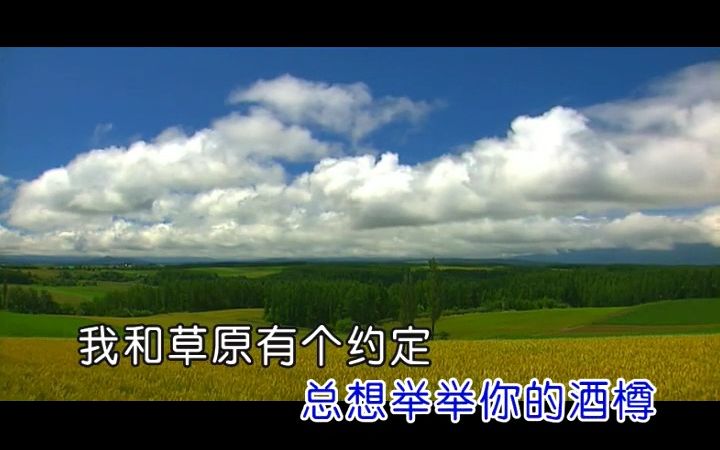 [图]布仁巴雅尔-我和草原有个约定 KTV伴奏 去人声转MP4