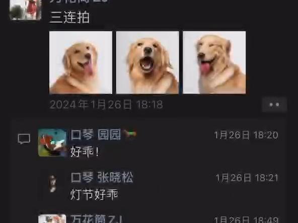 张晓松躲在朋友圈骂龙登杰是狗的录屏证据哔哩哔哩bilibili