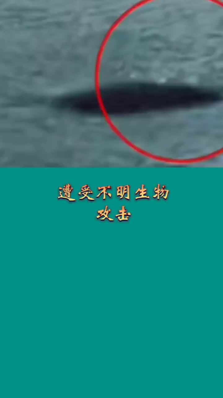 世界奇闻异事奇闻怪事未解之谜世界未解之谜奇闻奇事奇特的不明生物