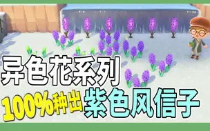 Download Video: 【mikao攻略】紫色风信子种植攻略！最适合佛系种植的花😂｜种花系列#5